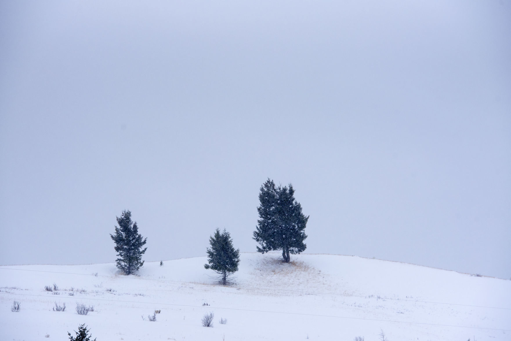 Weather picture